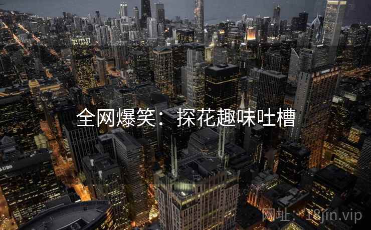 全网爆笑：探花趣味吐槽  第2张