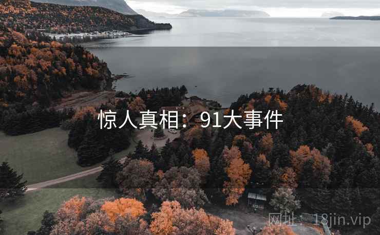 惊人真相：91大事件