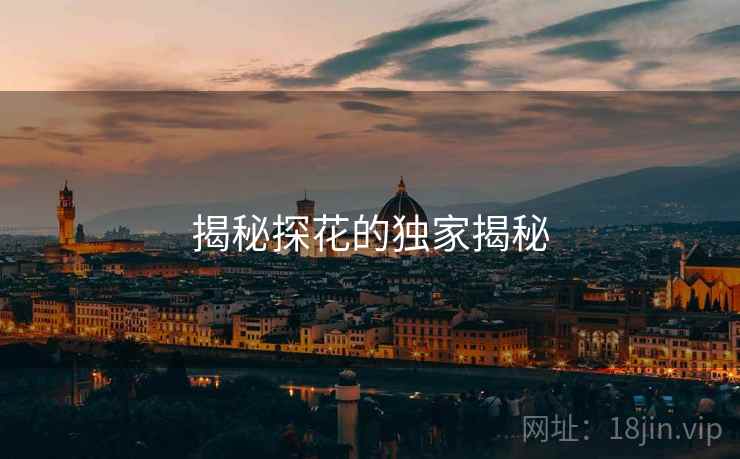 揭秘探花的独家揭秘