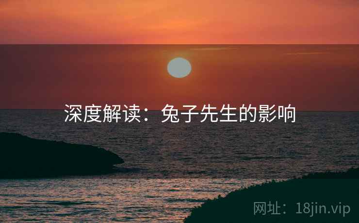 深度解读：兔子先生的影响  第2张