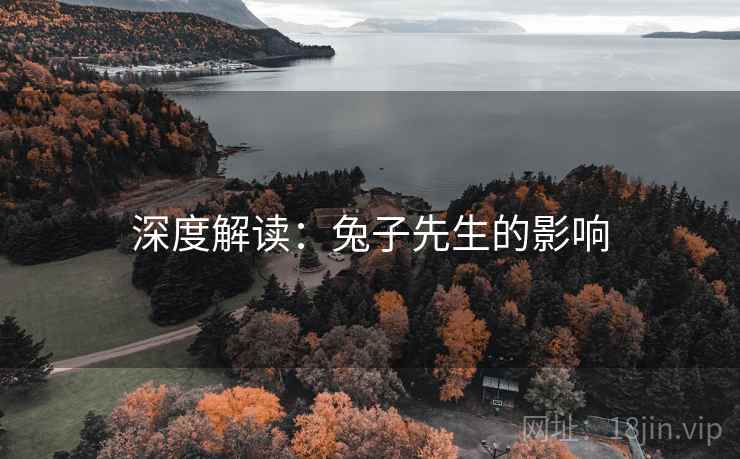 深度解读：兔子先生的影响