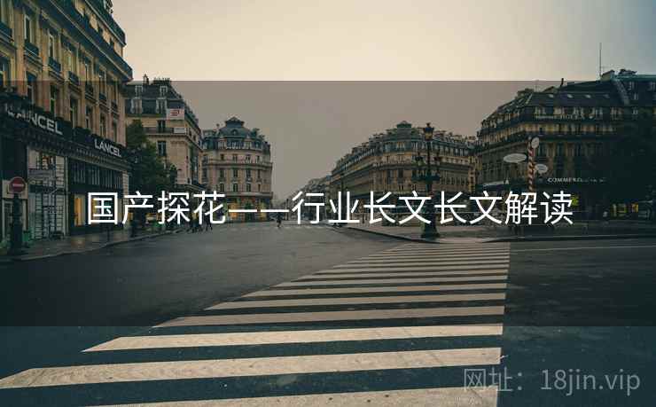 国产探花——行业长文长文解读