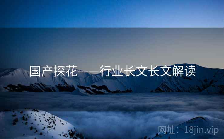 国产探花——行业长文长文解读