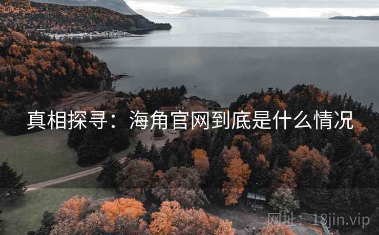 真相探寻：海角官网到底是什么情况