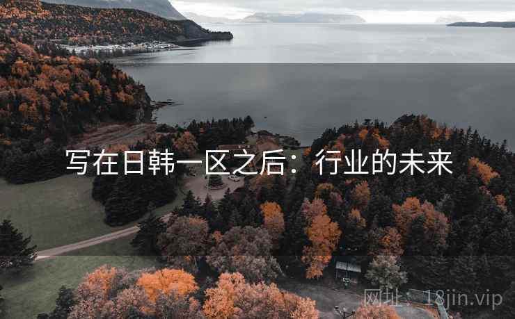 写在日韩一区之后：行业的未来