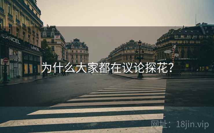 为什么大家都在议论探花？