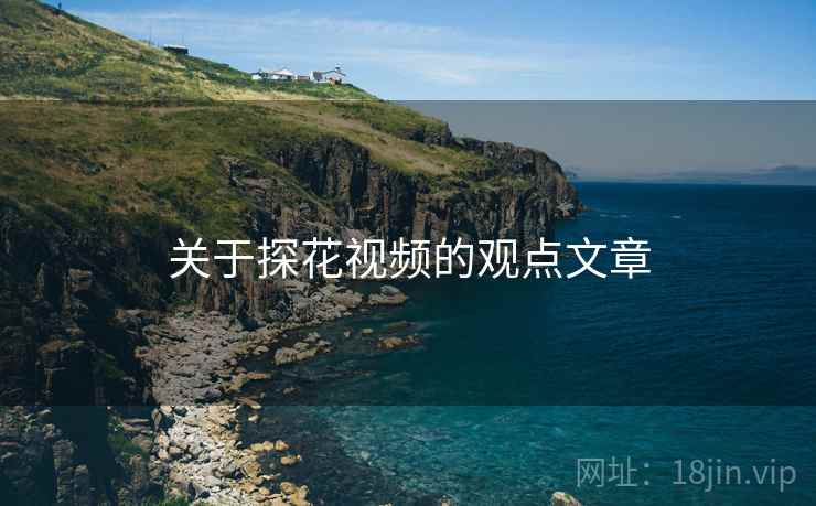 关于探花视频的观点文章