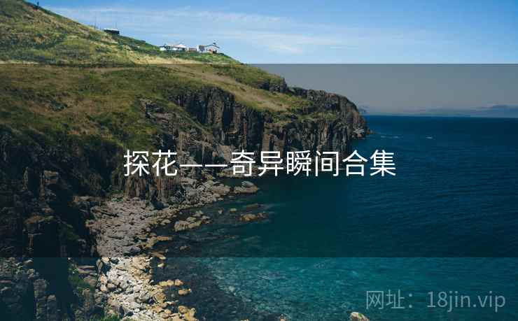 探花——奇异瞬间合集