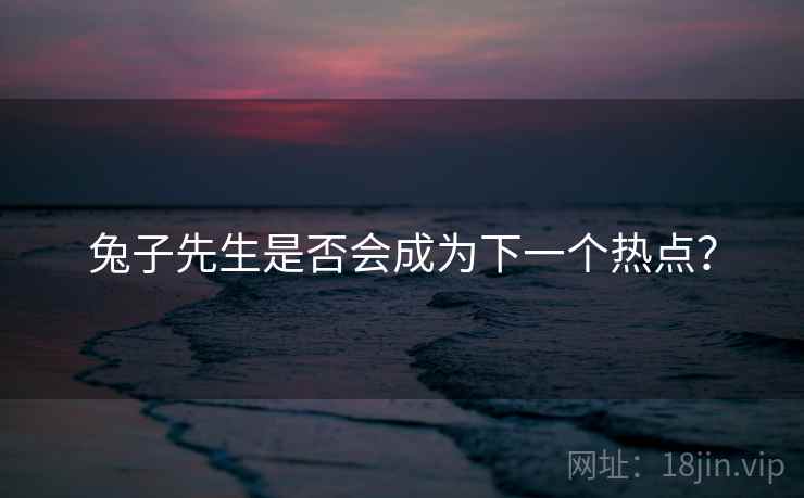 兔子先生是否会成为下一个热点?