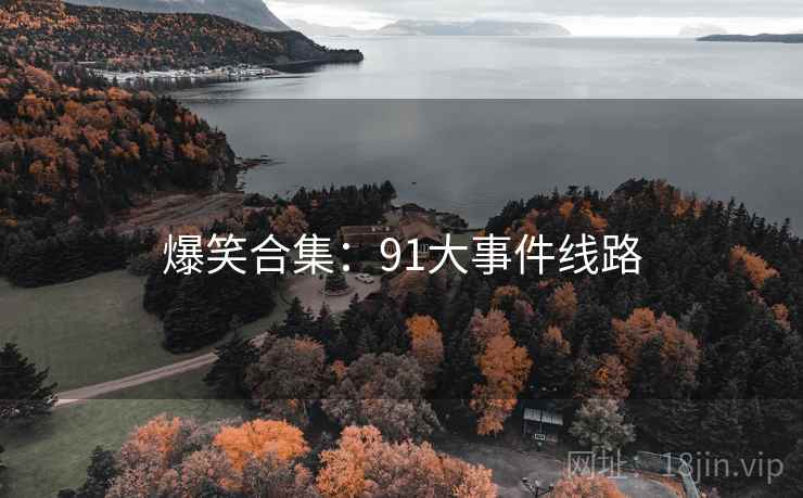 爆笑合集:91大事件线路