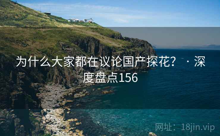 为什么大家都在议论国产探花? · 深度盘点156